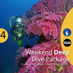 Ustica Weekend - Deep Diving